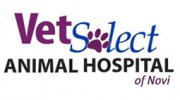 Vetselect Daycare & Training