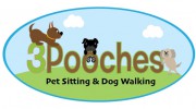 3 Pooches In Paradise Dog Play Center