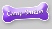 Camp Canine