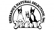 Shebang's Natural Selection