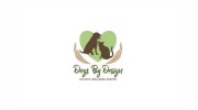 Dogs By Design Holistic Wellness Center & Spa