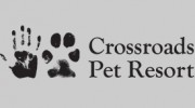 Best Behavior Animal Behavior