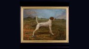 Phantom Kennels