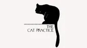 Cat Practice