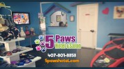5 Paws Hotel & Salon