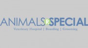 Animals R Special Veterinary