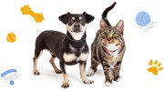 Mckee's Pet Place