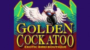 Golden Cockatoo