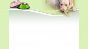 The Smiling Dog Pet Sitting & Dog Walking