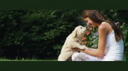 North Mecklenburg Animal Hospital