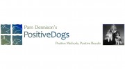 Positive Motivation Dog Train