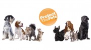 Protect The Pets