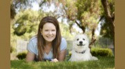 Wonder Dog Training