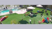 Dioji K-9 Resort & Athletic Club