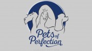 Pets Of Perfection