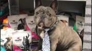 Bonnie's Barkery