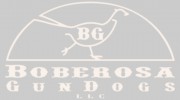 Boberosa Gun Dogs