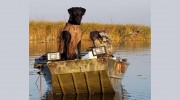 Over The Top Retrievers