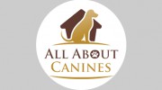 All About Canines