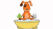Doggy Has It