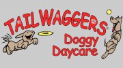 Tailwaggers Doggy Daycare