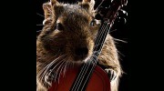 Little Critters