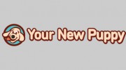 Your New Puppy