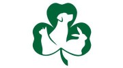 American Animal Hospital Association