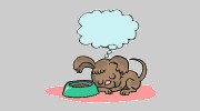 Beg N Bark Pet Sitting