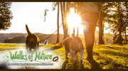 Walks Of Nature