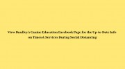 Bradley's Canine Education