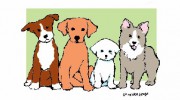 Carl's Pet Care Center