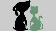 Howls & Meows Pet Sitting