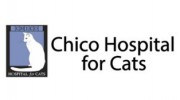 Chico Hospital For Cats