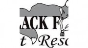 A Black Fox Pet Resort