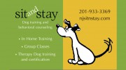 Sit & Stay Dog Training & Behavioral Counseling