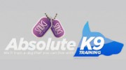 Absolute K-9 Training