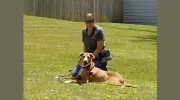K&C Canine Life Skills