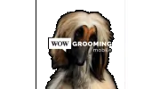 Wow Grooming