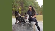 A-Z DOGS