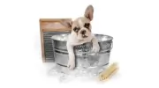 Ultimate Mobile Pet Grooming