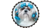 Lovin Care Pet Grooming