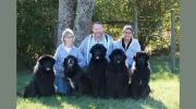 Winding Creek Kennels