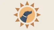 Crafty Canine Club