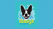 Daisy's Pet Grooming