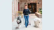 Nose, Toes & Tails Pet Care