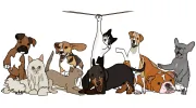 Brady's Pet Sitting