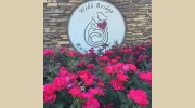 Webb Bridge Animal Hospital