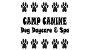 Camp Canine