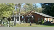 Anita's Puppy Palace